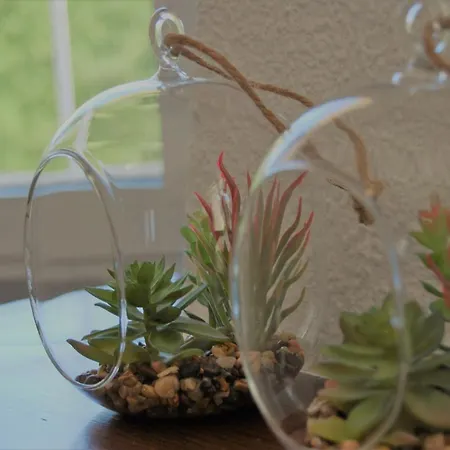 Casa De Limon * Ciudad Quesada