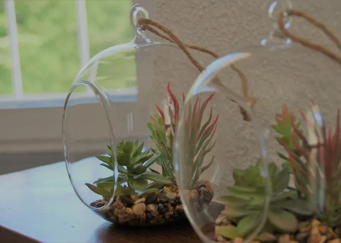 Casa De Limon * Ciudad Quesada